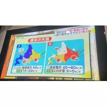 七星 夏純
