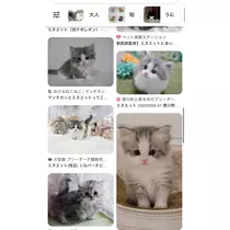 せいら