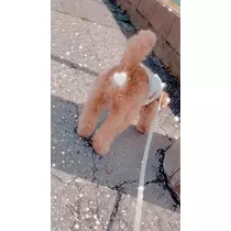 もえ