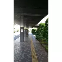 桃瀬 百華