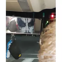 紫音