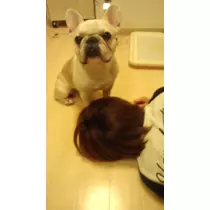 水瀬 愛理