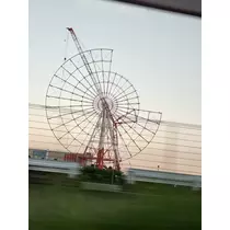 紫音
