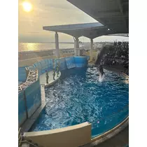 みーたん