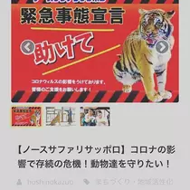 つばさ