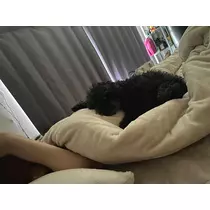 水兎 ななせ