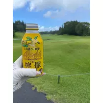美月