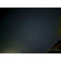 小川 真央