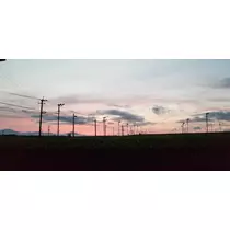 美穂