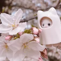 あんな