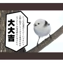 ひな