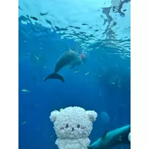 もえか