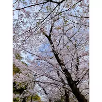 りょう