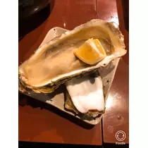 宝條 夏恋