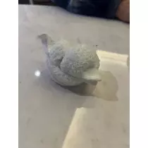 へべれけ酔拳あや