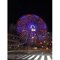 宝條 夏恋