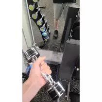 てん