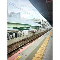 さくら