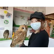 しおり
