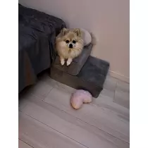 神崎 りょう