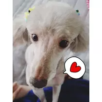 荒木 ナツミ