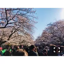 優月 あや菜