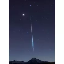 ゆうか