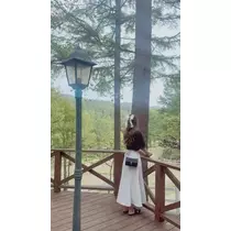 さえ