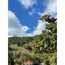 成海 まお