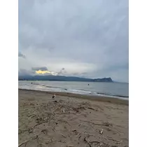 神崎 蘭