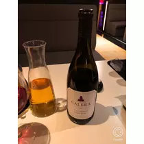 宝條 夏恋