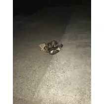 愛羽 仁美