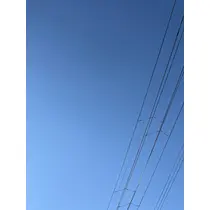 せら