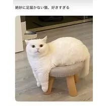 神楽 なな
