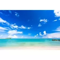 桐島 りゅう