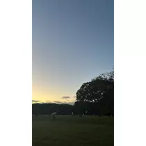 さな