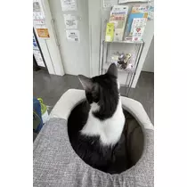 深羽