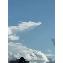 藤本 祐子ママ