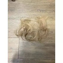 七星 夏純