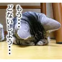 あかり