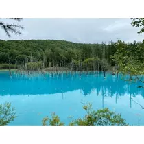 荒木 ナツミ