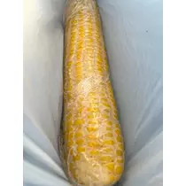 花音