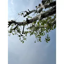 咲良 水月