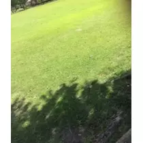 かおり