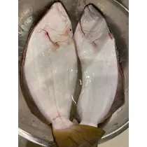 長瀬 純恋
