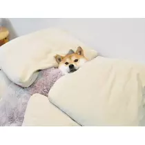 ゆうか