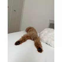 美波 あいか