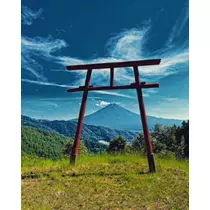 ゆかり