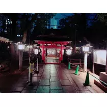 本城 椿