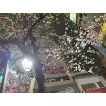 りょう